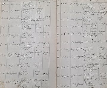 Auszug aus dem Beiertheimer Fremdenbuch, 1870