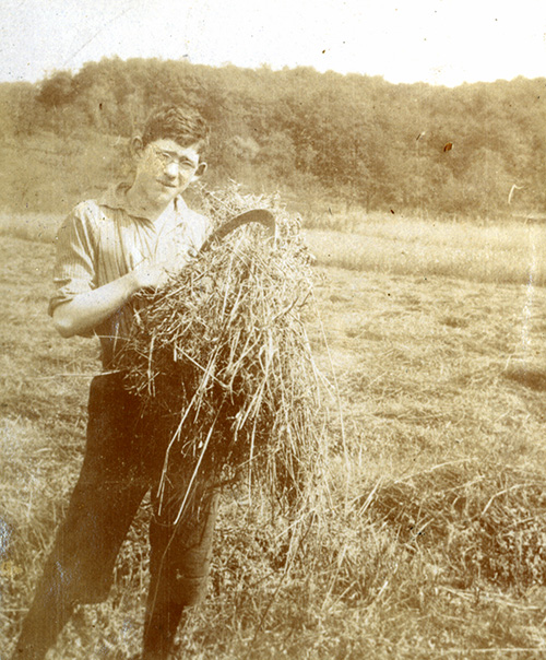 Hans Müller beim landwirtschaftlichen Hilfsdienst in Kürnbach 1917